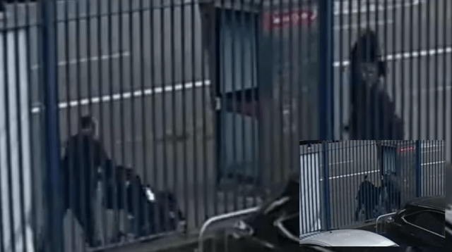 Attempted Kidnap Caught on Camera: Jewish Children Targeted in Stamford Hill