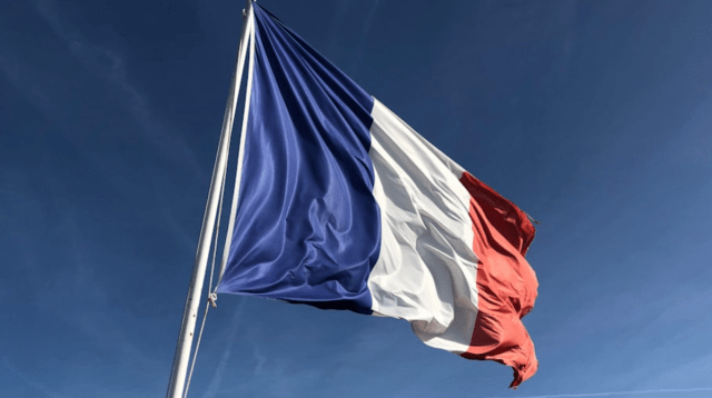 Macron Calls for New Parliamentary Elections After European Election Defeat