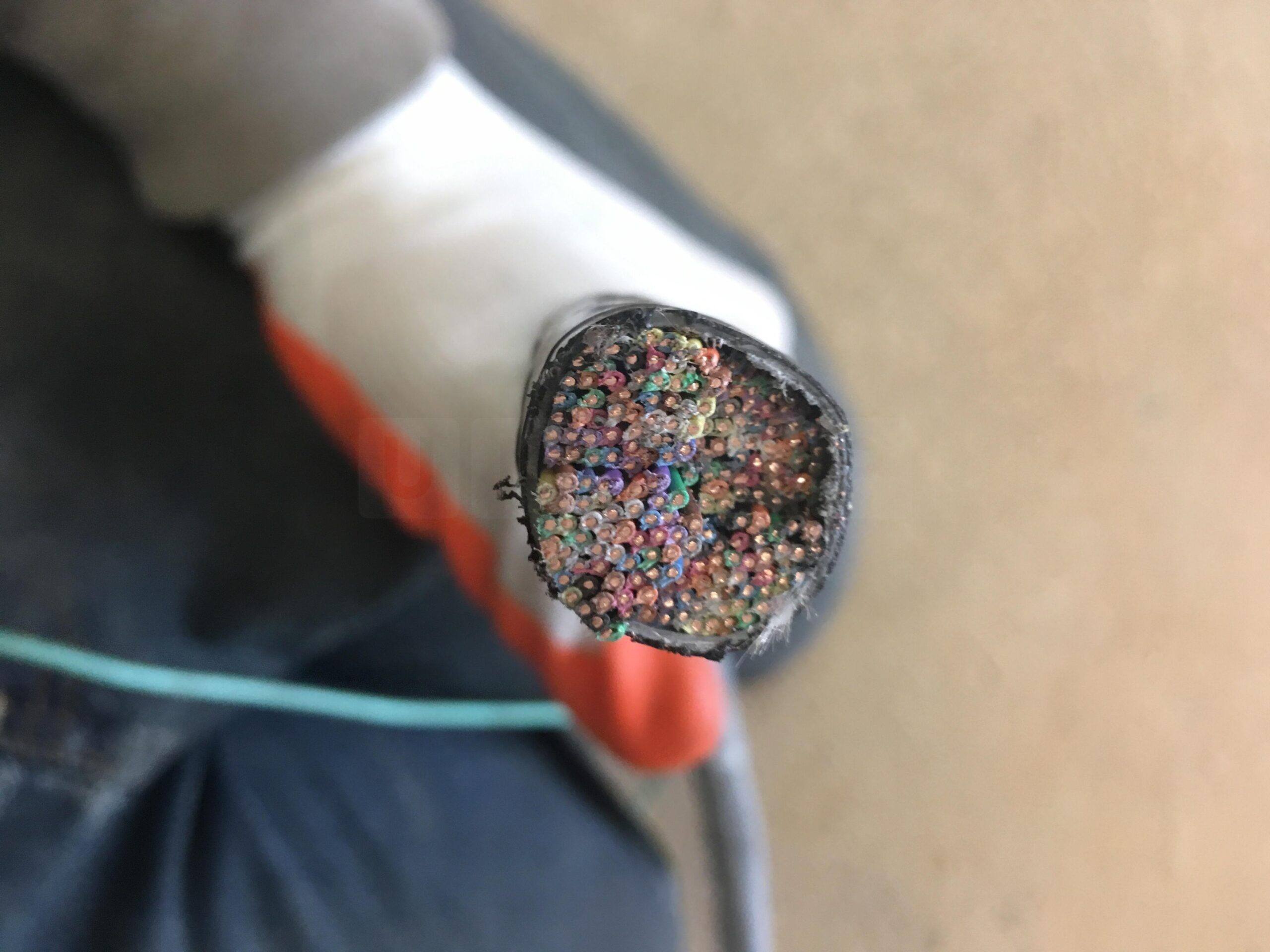 Officers are appealing for information following reports of telecommunication cables being damaged in Canterbury