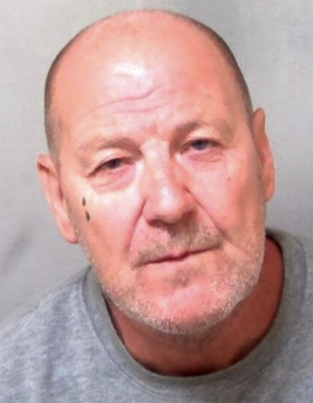 A violent offender has been sentenced after stabbing a man in the neck in broad daylight