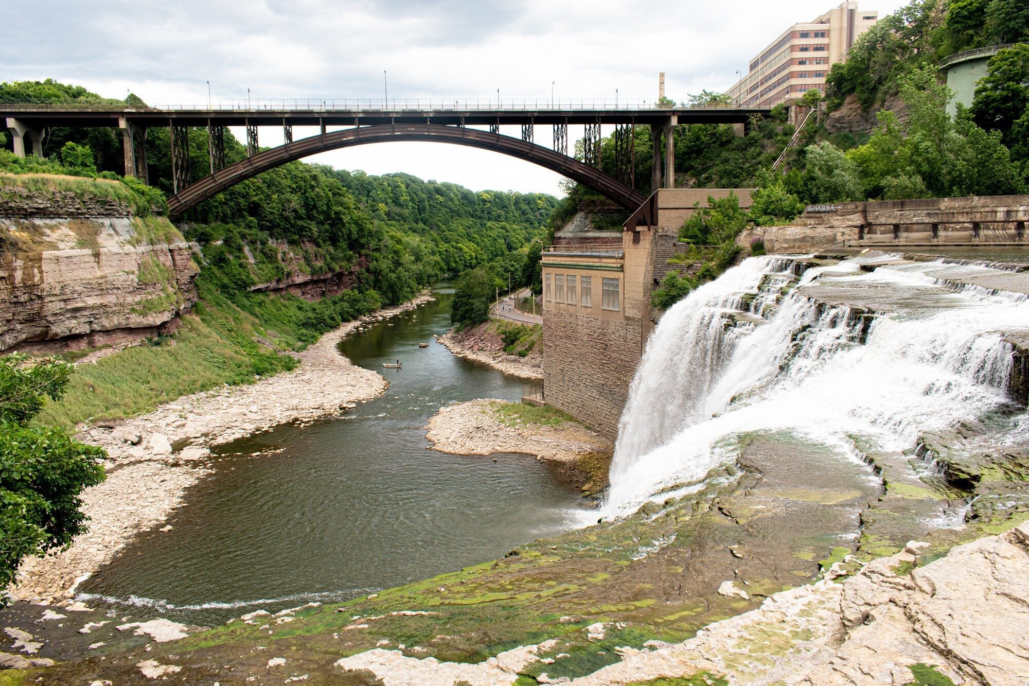 Mass Shooting at Rochester Park Leaves Multiple Victims, Including  Child Casualties