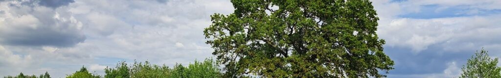 Mixed conditions as more schools break up for summer