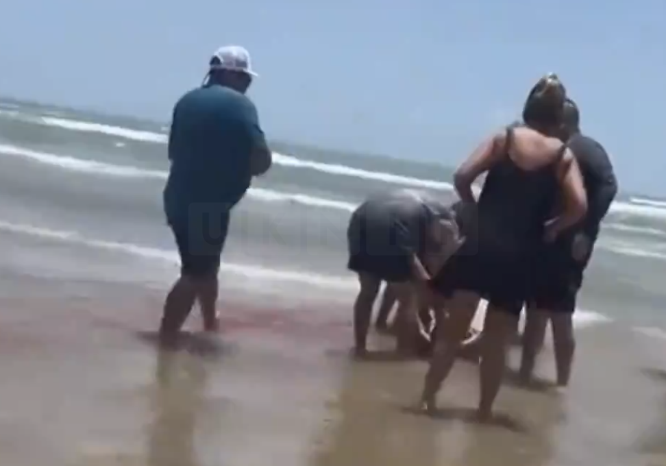Four Shark Attacks Reported During Fourth of July Celebrations on South Padre Island