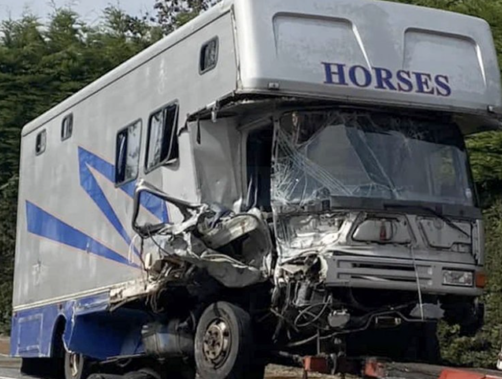 A drunk driver who collided with a horsebox and injured its driver near Faversham has been jailed