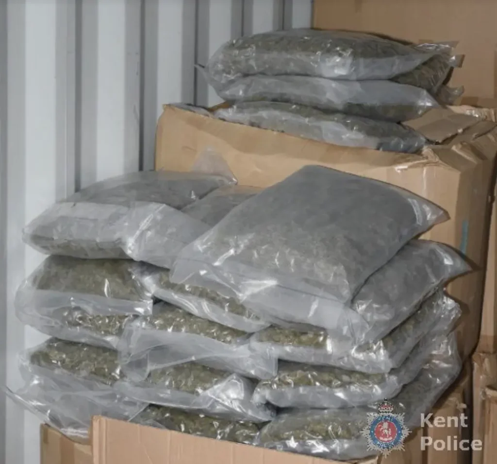 Bloodstain leads to prison sentence after huge cannabis discovery