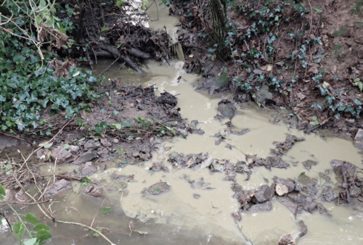 Dairy Farmer Ordered to Pay £10,000 After Persistent Slurry Pollution