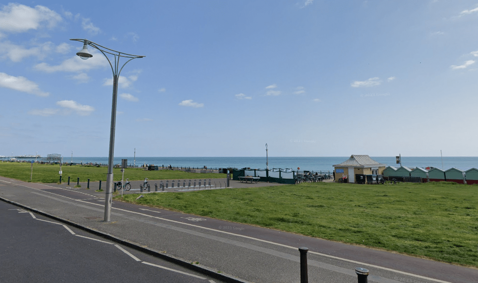 Fatal Dog Collision by Hove Lawns