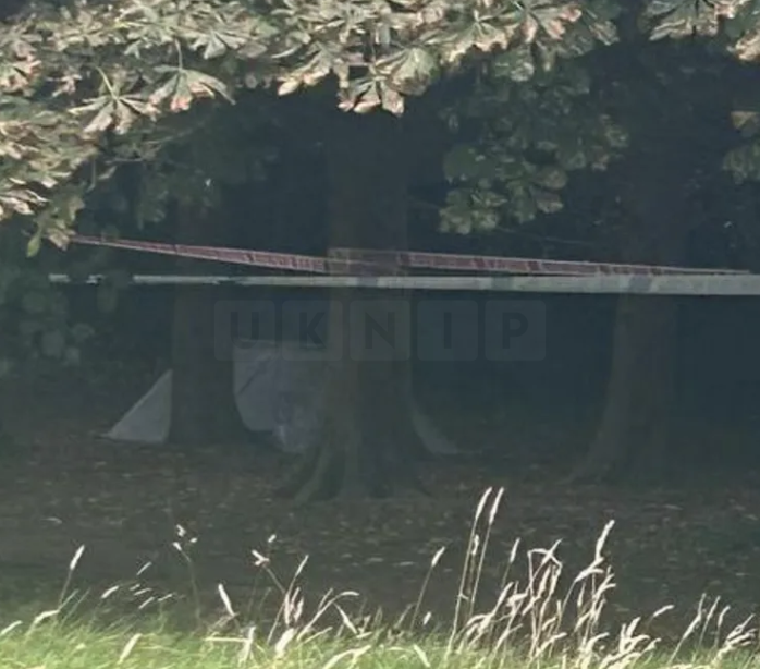 Mysterious Container with Organs Found in Sutton Park, Investigation Continues