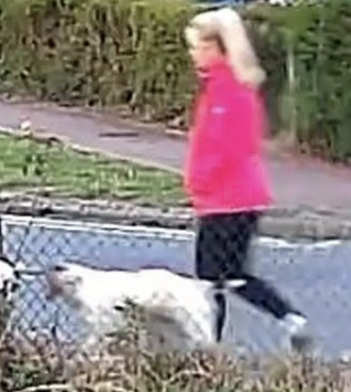 Man Arrested in Connection with Attempted Murder of Woman in Suffolk