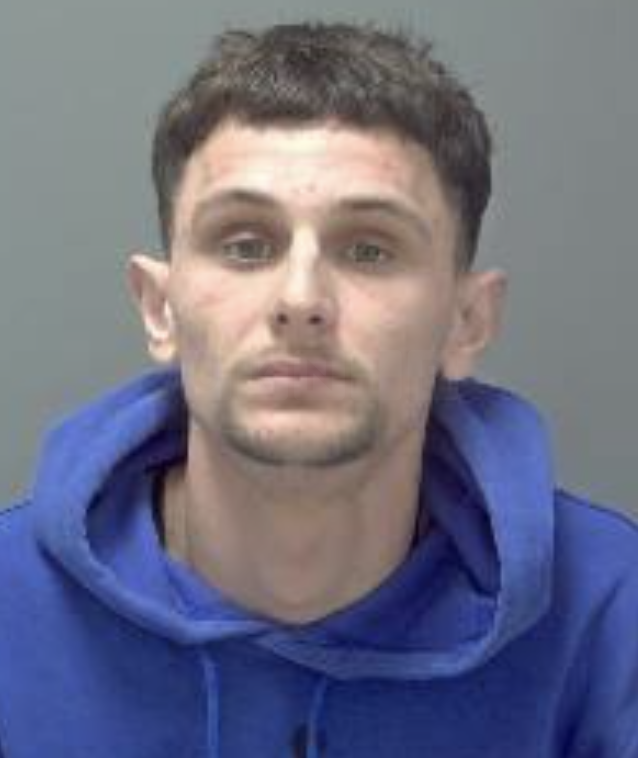33 month jail term for Ipswich drug offender