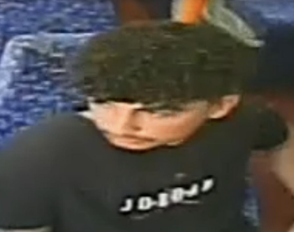 A CCTV image has been released by officers investigating a report that a child was bitten by a dog