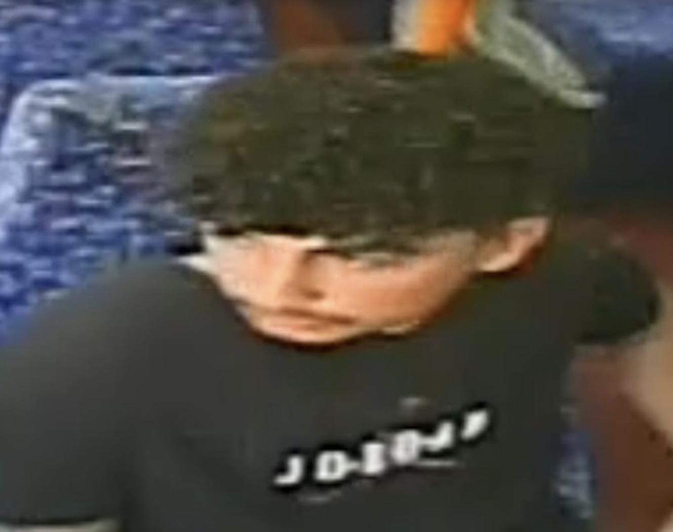 A CCTV image has been released by officers investigating a report that a child was bitten by a dog