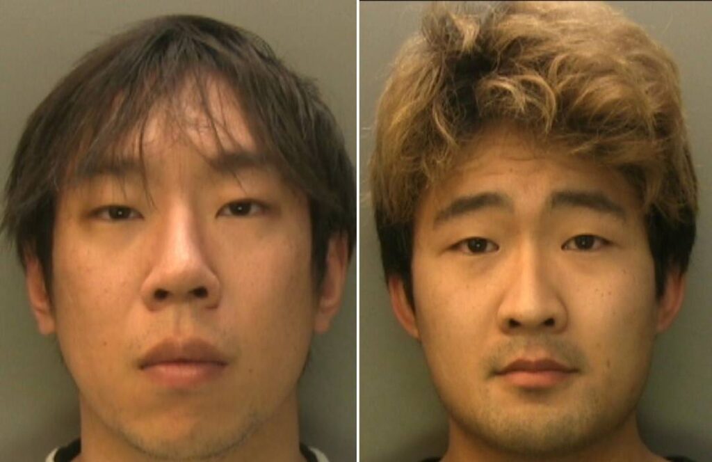 Brighton Students Jailed After Importing Cannabis in Hidden Parcels