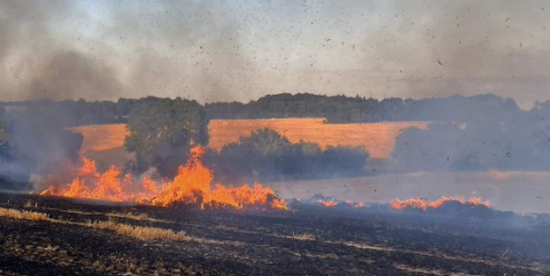 Firefighters Continue to Battle Hay Bale Blaze in Gravesend: Public Urged to Avoid Church Road Area