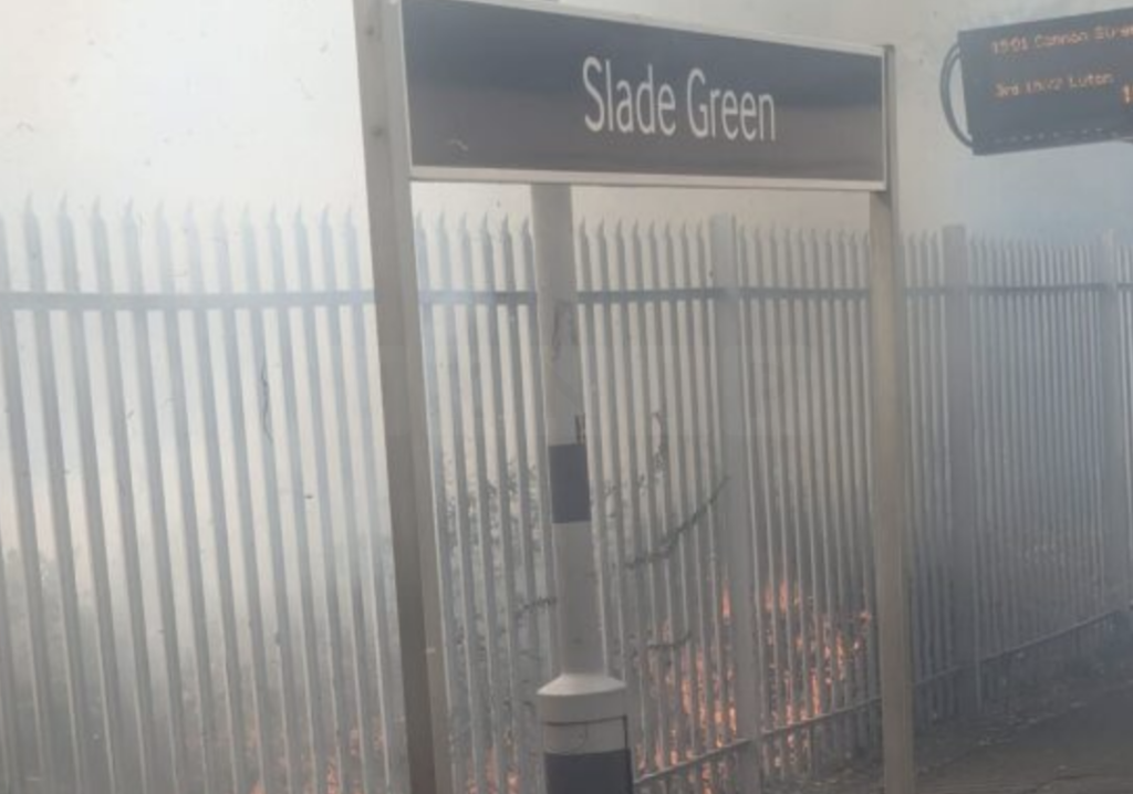 Four-Hectare Grass Fire Erupts Behind Slade Green Station