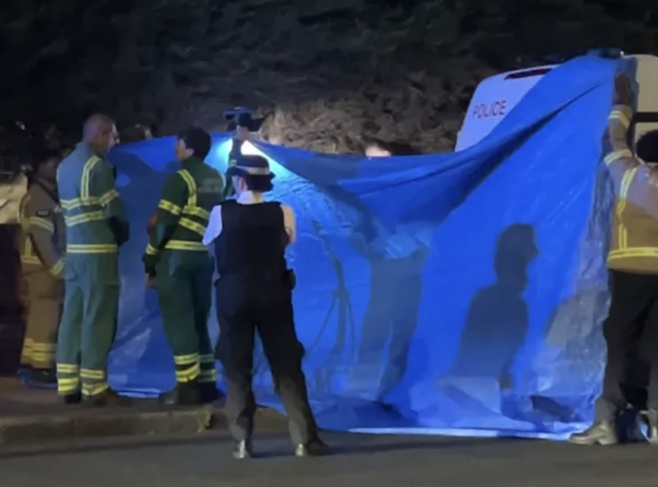 Man Arrested in Penge After Alleged Assault on Officers; Condition No Longer Life-Threatening