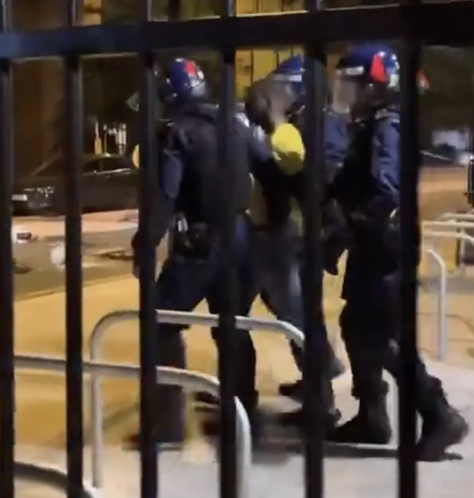 Man Arrested in Croydon After Throwing Dogs from Balcony During Protests