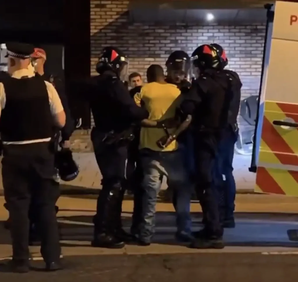 Man Arrested in Croydon After Throwing Dogs from Balcony During Protests