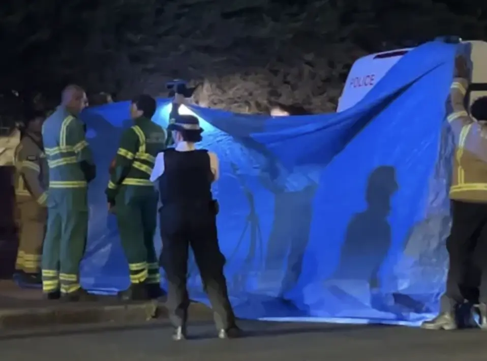 Man Hospitalised in Serious Condition After Arrest in South-East London, Officers Taken Ill Amid Fears of Chemical Exposure