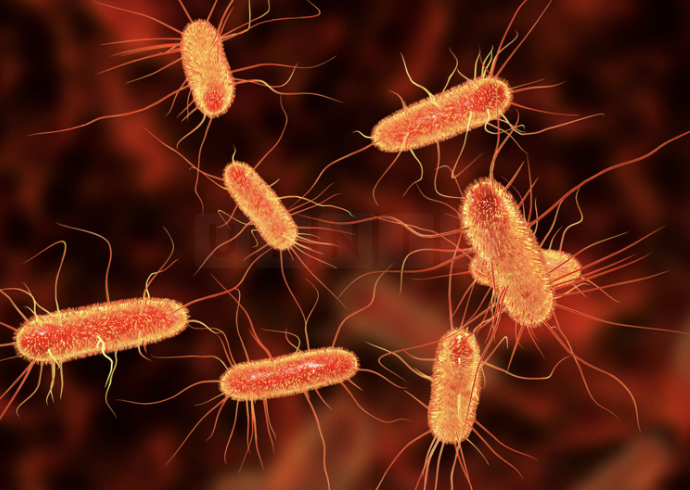 Surge in E. coli Cases: Nearly 4,000 Hospital Admissions in South East London Over Past Three Years