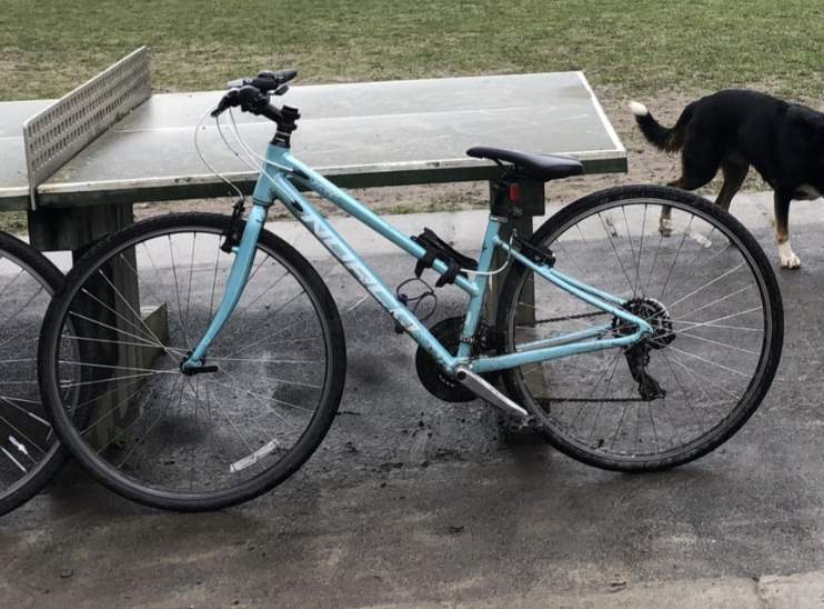 Sussex News: Stolen Bike in Brighton Belongs to Young Woman with Disability