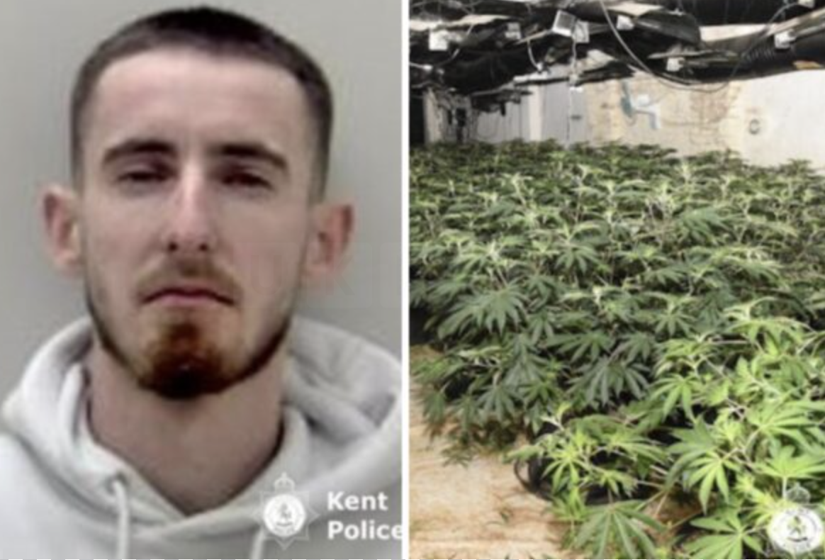 The Grass is Greener on the other side: Gravesend Man Jailed for hiding more than 1,000 cannabis plants behind fake wall