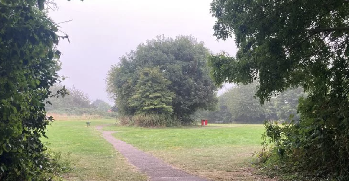 Elderly Man Dies After Park Attack, Five Children Arrested on Suspicion of Murder