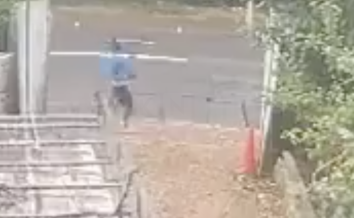 Police Face Criticism Over Alleged Excessive Force Against University Student