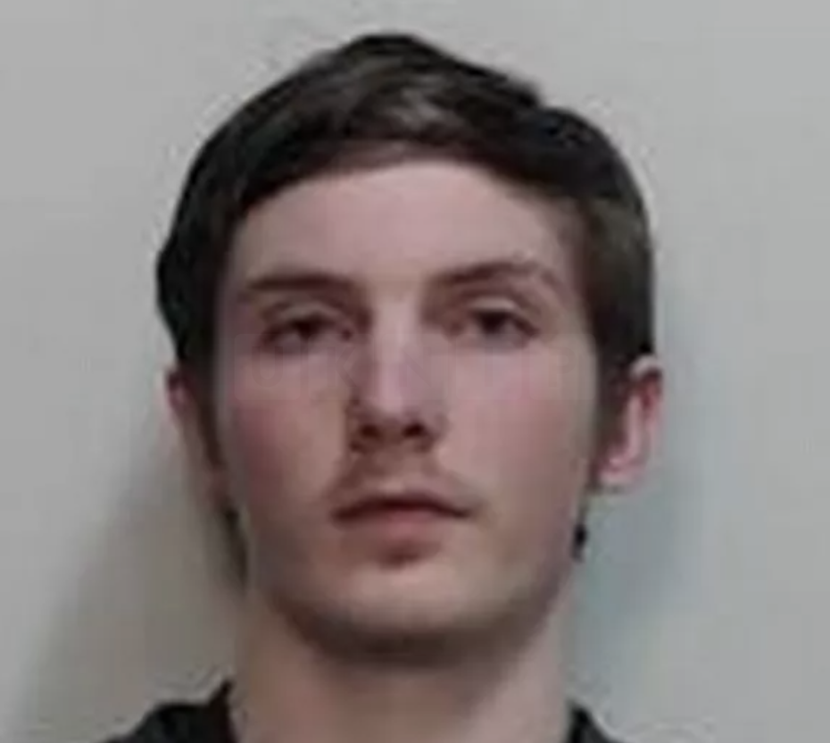 Teenage Rapist Sentenced to 10 Years for Attacks on Four Girls