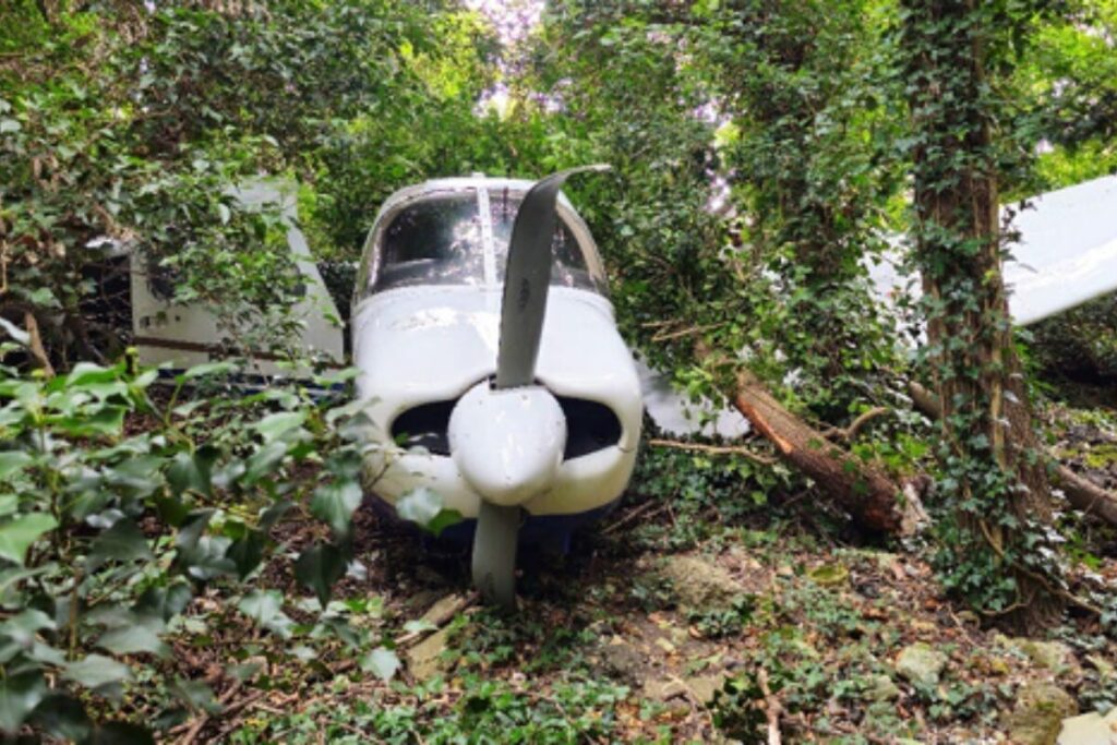 79-Year-Old Pilot Escapes Unharmed After Plane Overruns Runway and Crashes Into Embankment