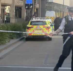 Woman killed after van hits pedestrians on the Strand — driver arrested