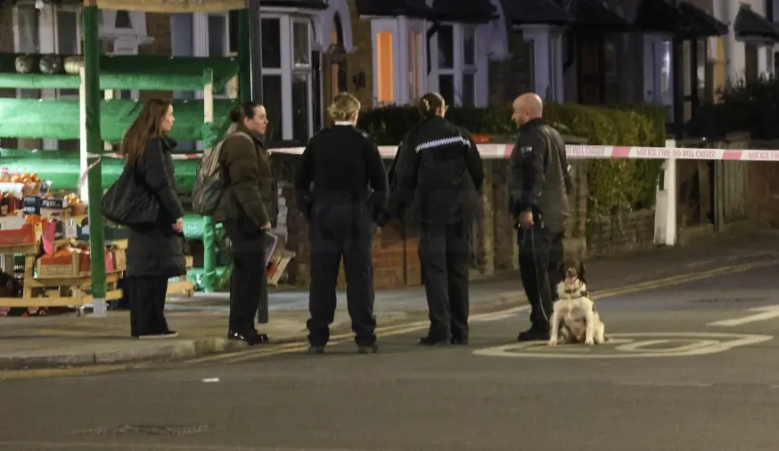 Teen Stabbed as Machetes and Swords Brandished in Violent Clash on Forest Gate Street