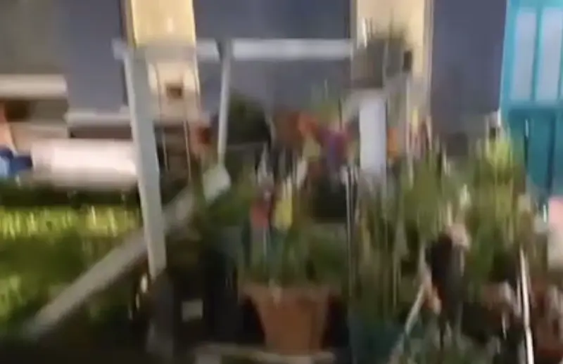 Heroic Fire Crews Pull Unconscious Man from Blaze in South East London