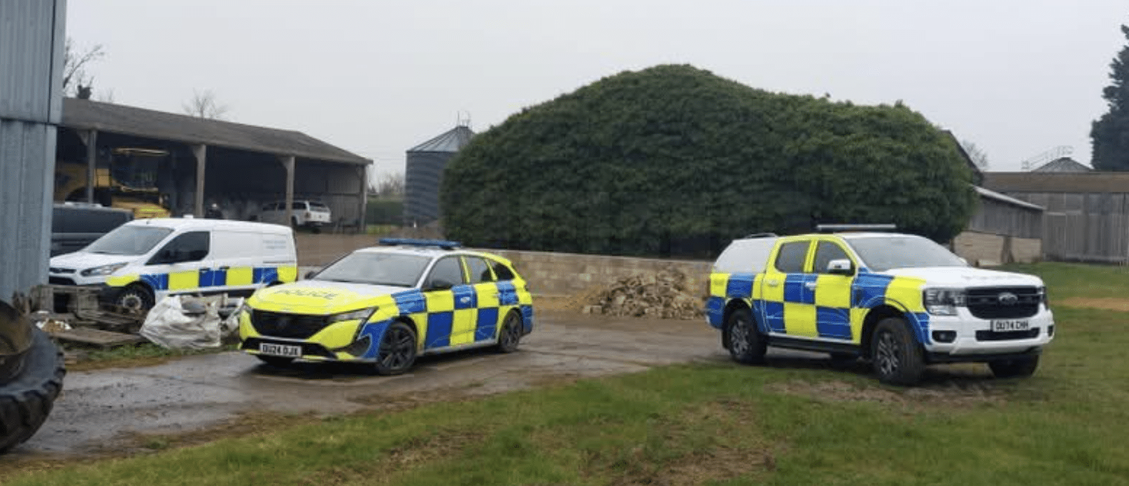 Appeal for Information After Alpacas and Sheep Shot Dead in East Hatley