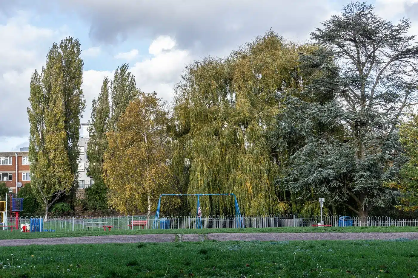 Child Taken to Hospital After Dog Attack in Sydenham Park