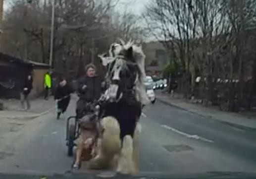 Dog Attack Turns Routine Horse Ride into Frightening Ordeal in Oldham