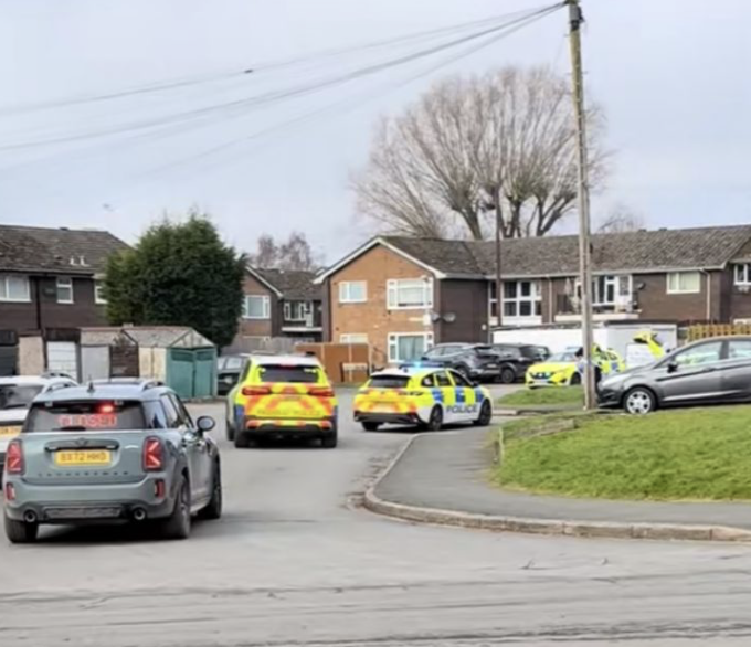 Elderly Man Critically Injured in “Horrific” XL Bully Attack in Cheshire
