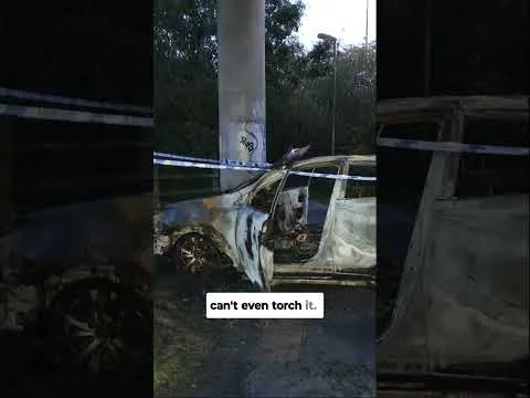 Men Who Mistook Driver for Drug Dealer Stole and Torched His Car