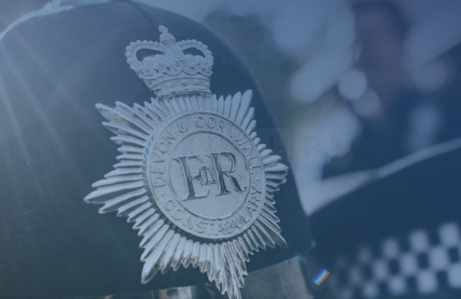 Police Appeal for Witnesses After Woman Assaulted in Exeter Park