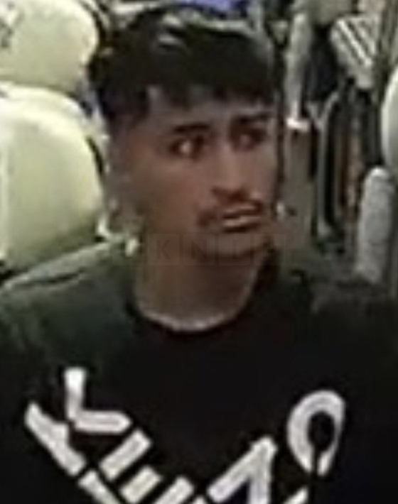 Police Release CCTV Image After Designer Bag Stolen on London Euston Train