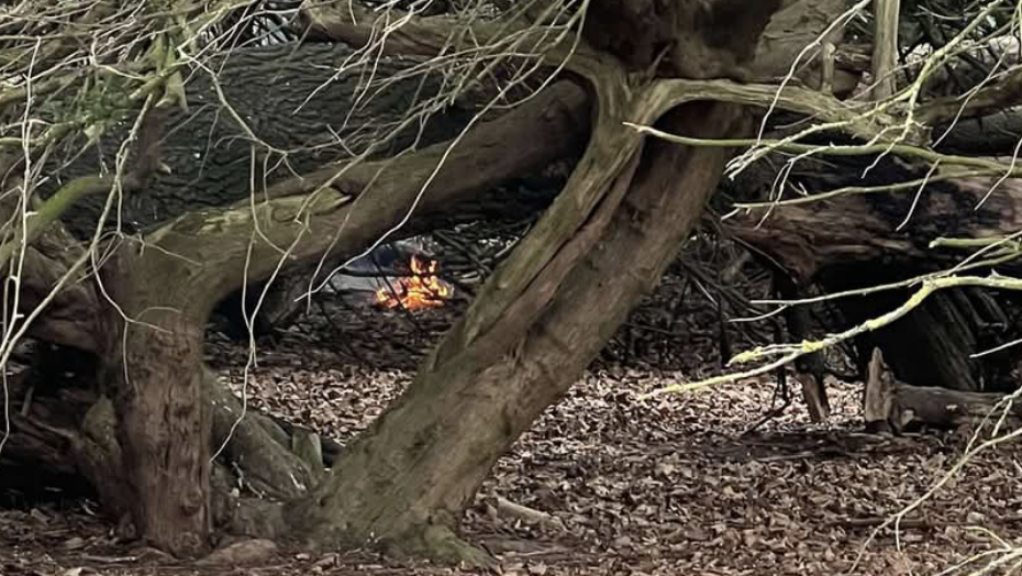 Probe Launched After Fire Reported in Ravenscraig Park Woods