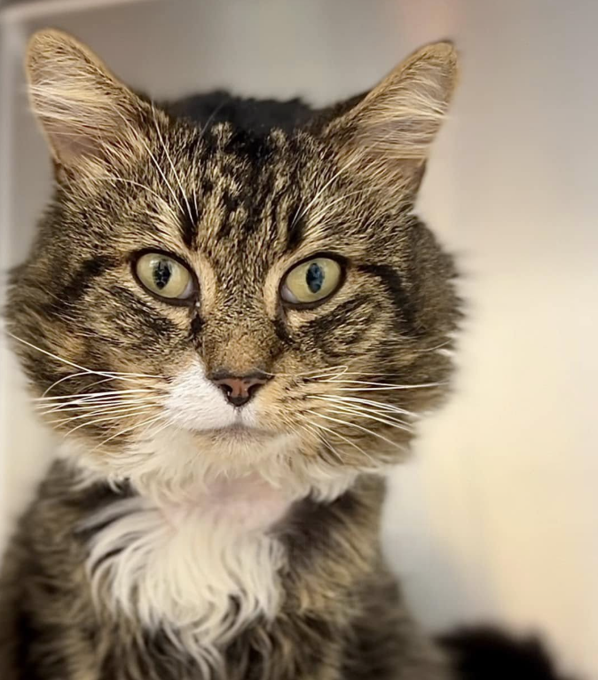 Shot Four Times and Left to Suffer, Now Robbie Needs Your Help