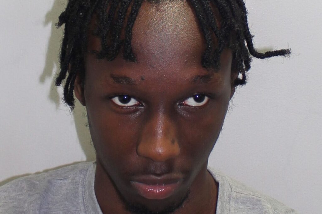 Teenager jailed for life after murdering Elianne Andam over teddy bear row