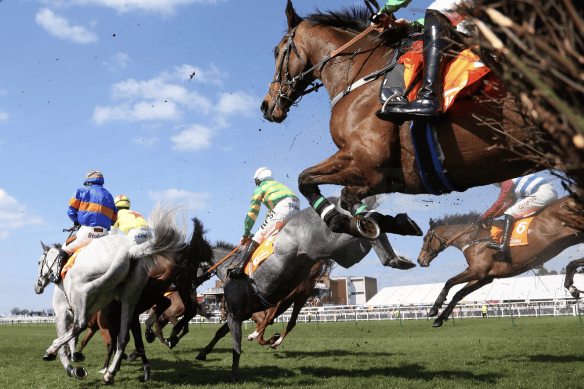 The favourites for the Irish Grand National