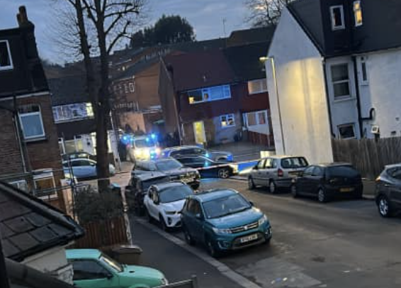 Three Dangerous Dogs Escape in Wallington Sparks Major Police Response