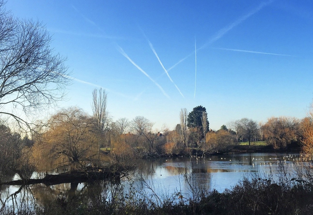Urgent Police Investigation Launched After Gunpoint Robbery in Dagenham Park