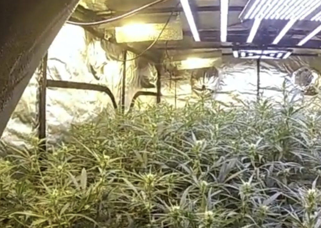 Watch: Officers Smash Part of a Drugs Ring in Rochester During National Crackdown