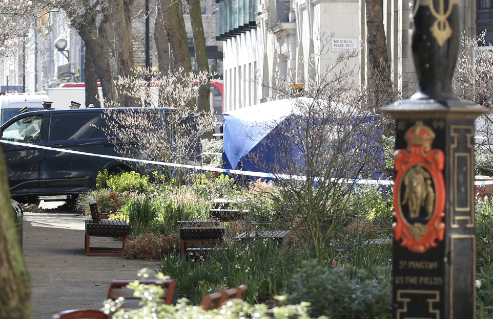 Woman in her 20s dies and two pedestrians rushed to hospital after van ploughs into crowd in Central London — driver, 26, arrested on sus…