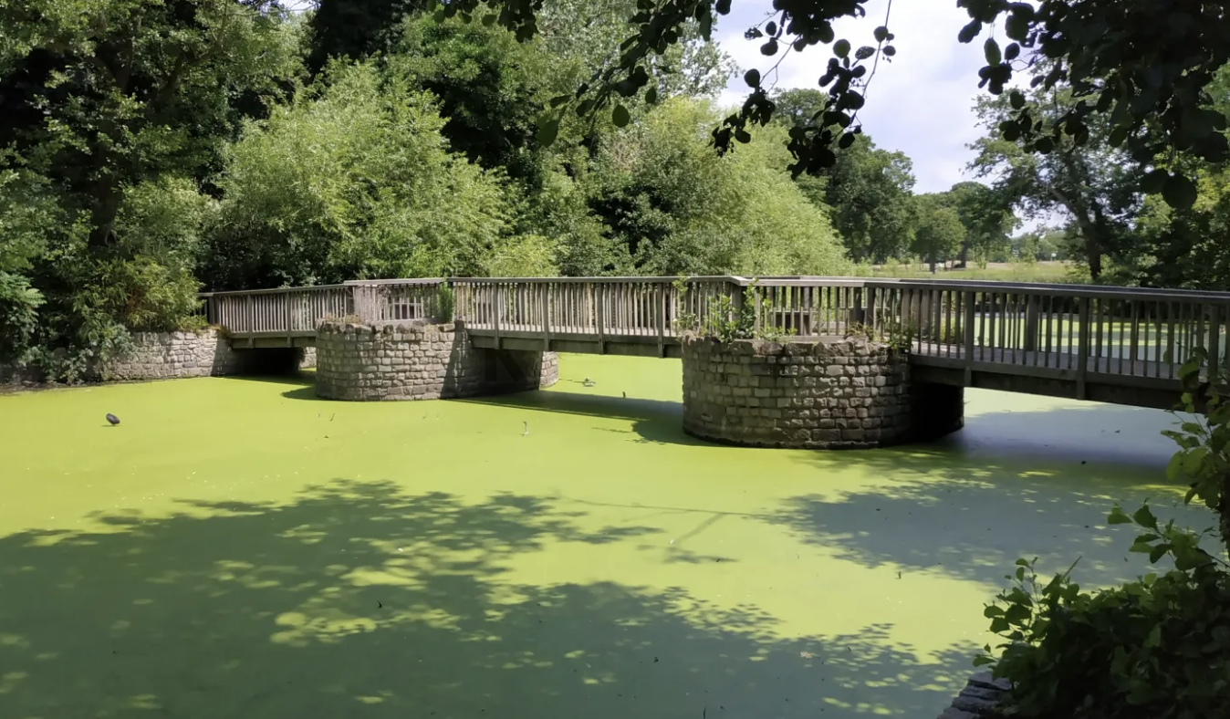 Woman Pulled from Lake Near Eltham Train Station and Taken to Hospital