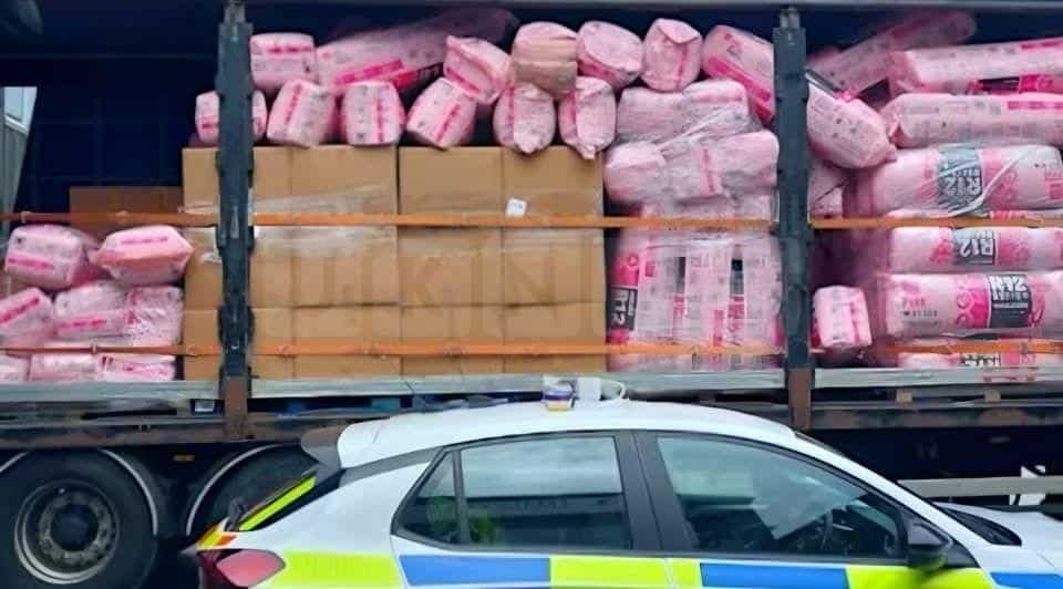 £1 Million Cannabis Haul Seized from Lorry in Witham